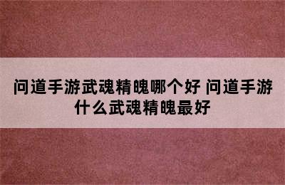 问道手游武魂精魄哪个好 问道手游什么武魂精魄最好